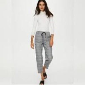 NWOT Aritzia The Group by Babaton Jimmy Pant